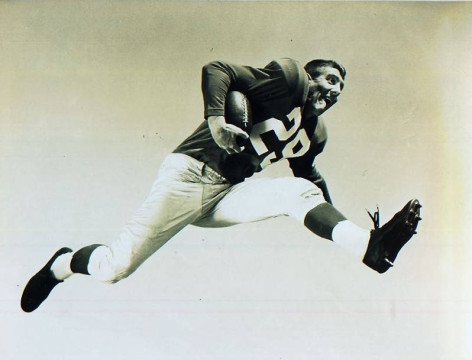 The Giants leading scorer in 1956 Alex Webster had 7 rushing touchdowns and 3 receiving touchdowns.