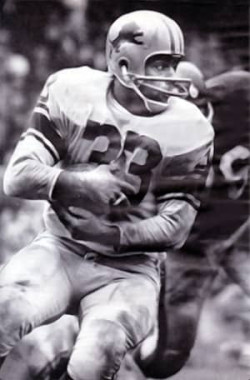Nick Pietrosante, Detroit Lions 1959-1965