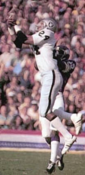 Hall of Famer Willie Brown of the Raiders