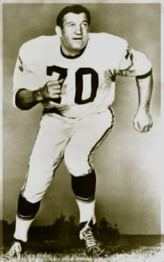 Ernie Stautner, Pittsburgh Steelers