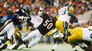 Bears Linebacker Mike Singletary