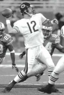 Chris Chandler, Chicago Bears Quarterback