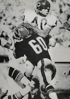 Falcons linebacker Tommy Nobis stops Bears runner Gale Sayers