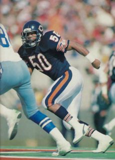 Chicago Bears Linebacker Mike Singletary