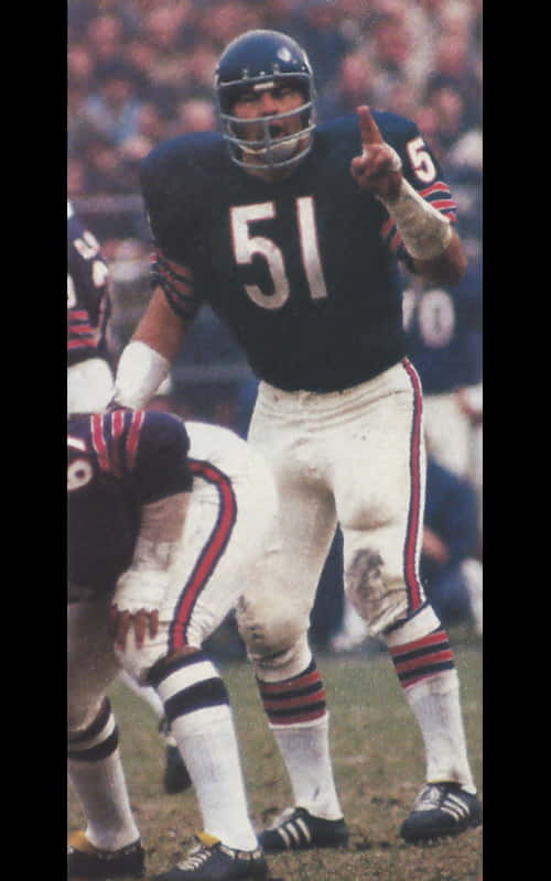 Read more about the article Dick Butkus Image Gallery