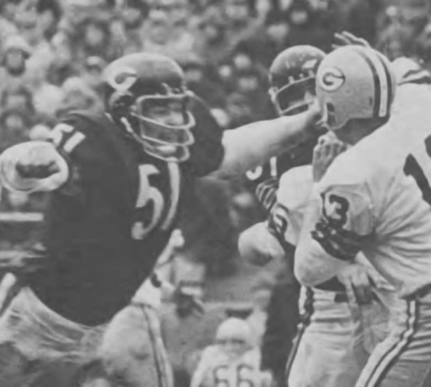 Bears linebacker rushing in on Packers quarterback Don Horn