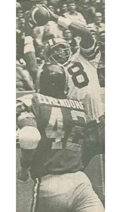 Drew Pearson TD Catch vs Rams - 1973 NFC Playoffs