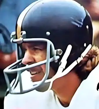 Steeler Mike Wagner