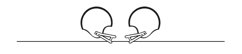 Double helmet divider