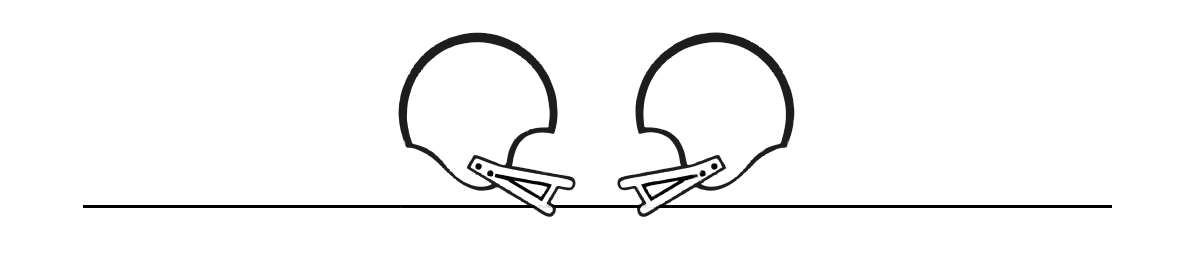 Double helmet divider