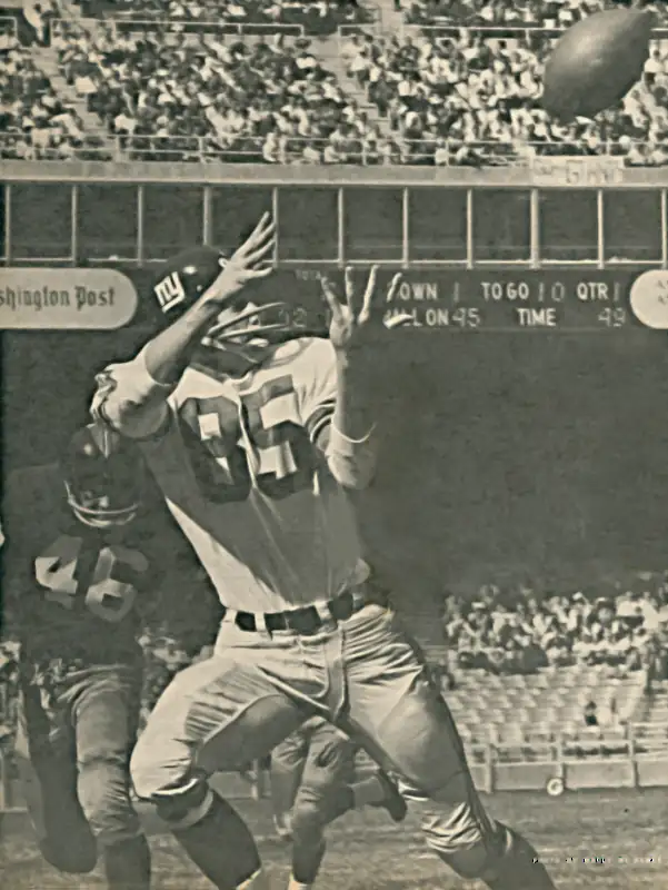 Former Ram Del Shofner had a great season when joined the Giants in 1961. Named All Pro he was the NFL's #3 Receiver with 68 catches, #2 receiving yardage leader - 1125 yards and #4 in Touchdown Catches with 11. Here he makes a grab against the Redskins Dale Hackbart. Hackbart had a good season himself in 1961 - 6 interceptions, 128 return yards and 2 touchdowns.