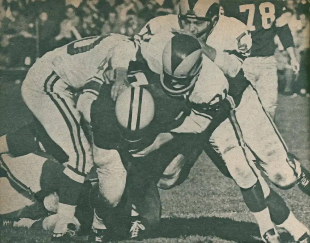 in 1960, The Packers Paul Hornung was proving himself to be one the the NFL's most exciting players. He ran the ball, kicked the ball, caught the - even passed it as he set a new NFL record of 176 points scored. His 928 total yards from scrimmage ranked #11th in the league and his 15 Total Touchdowns was #1. He even passed for 2 scores. Here he is in the midst of an Rams gang tackle.