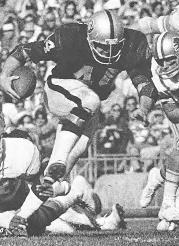 The Raiders Marv Hubbard