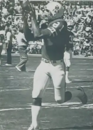 Russ Francis, NFL Tight End